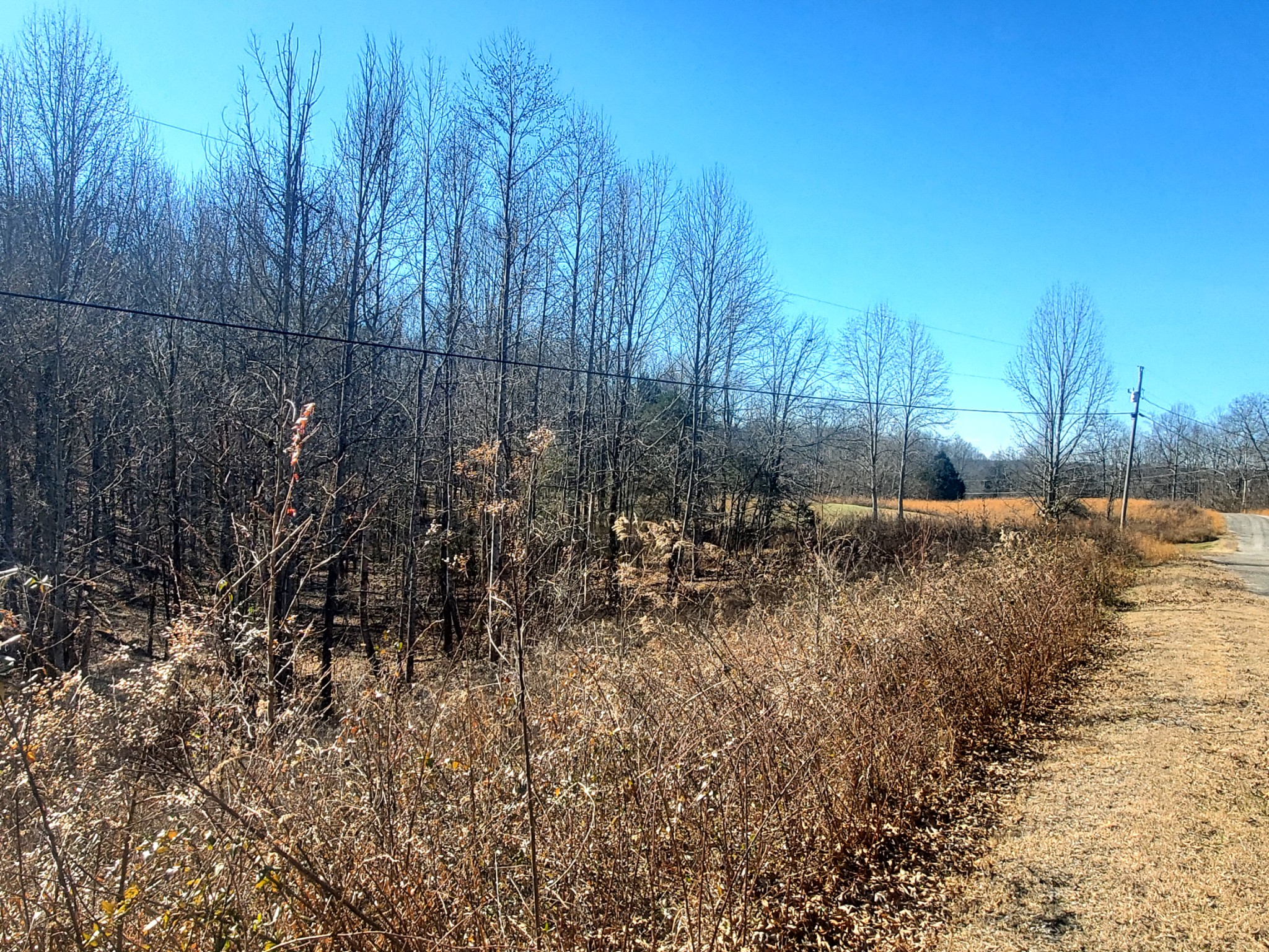 0 Summer Breeze Dr Property Photo 1