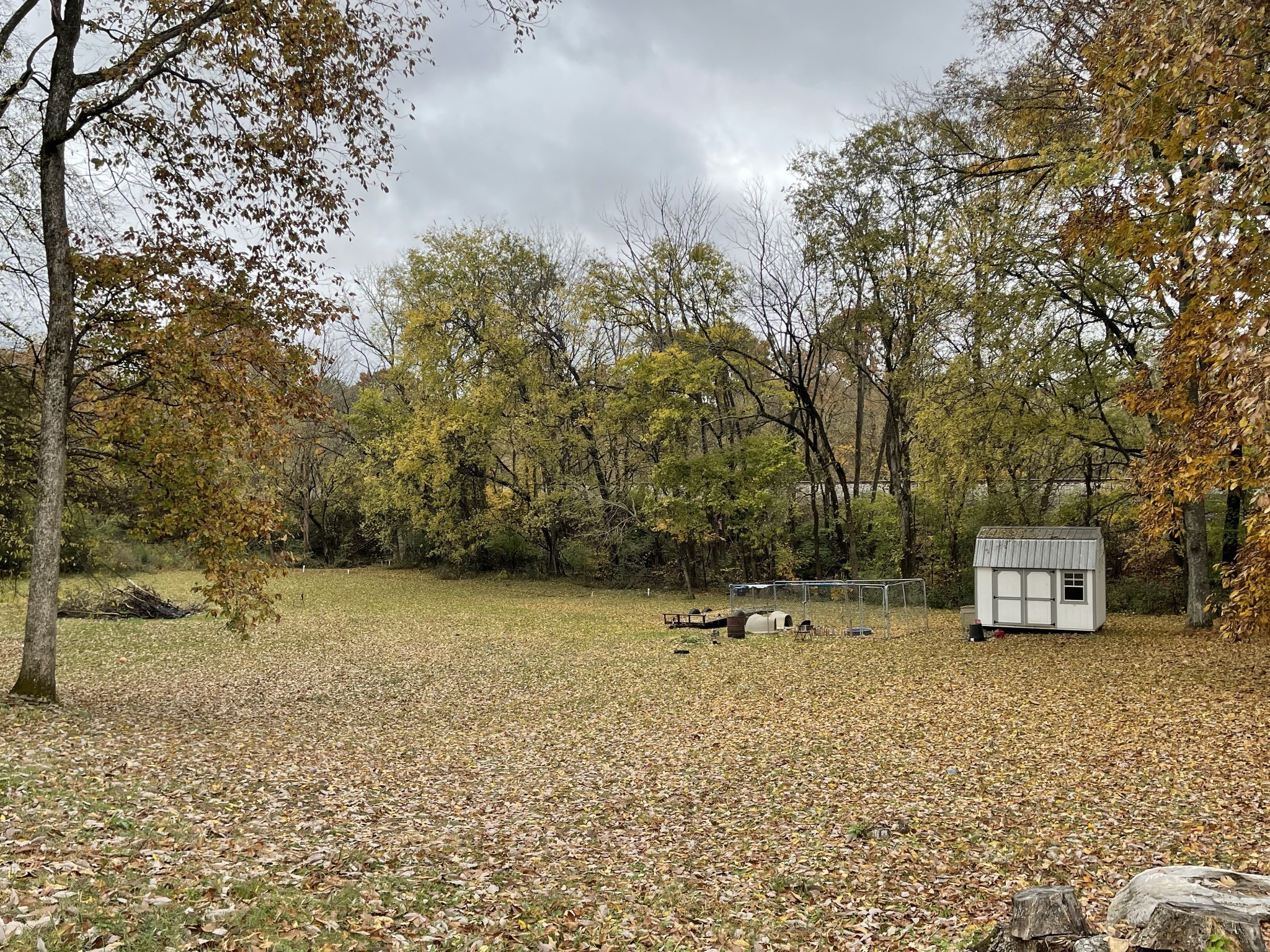 1210 White Dr Property Photo 2