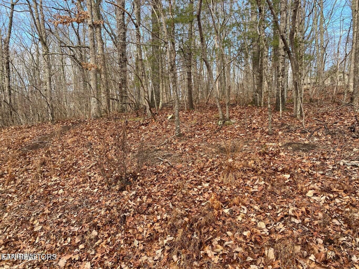 116 Overlook Cove Property Photo 1