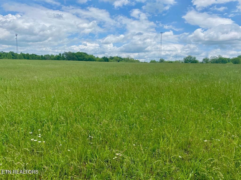 0 Old Martha Washington Rd Property Photo 1