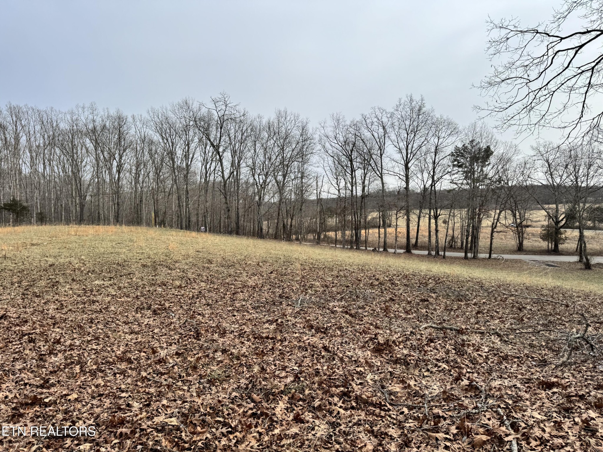 41 Smith Mountain Rd
