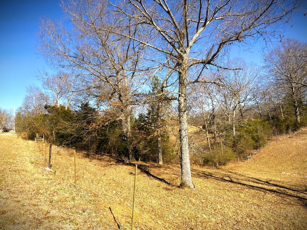 4210 Bunker Hill Rd Property Photo 1