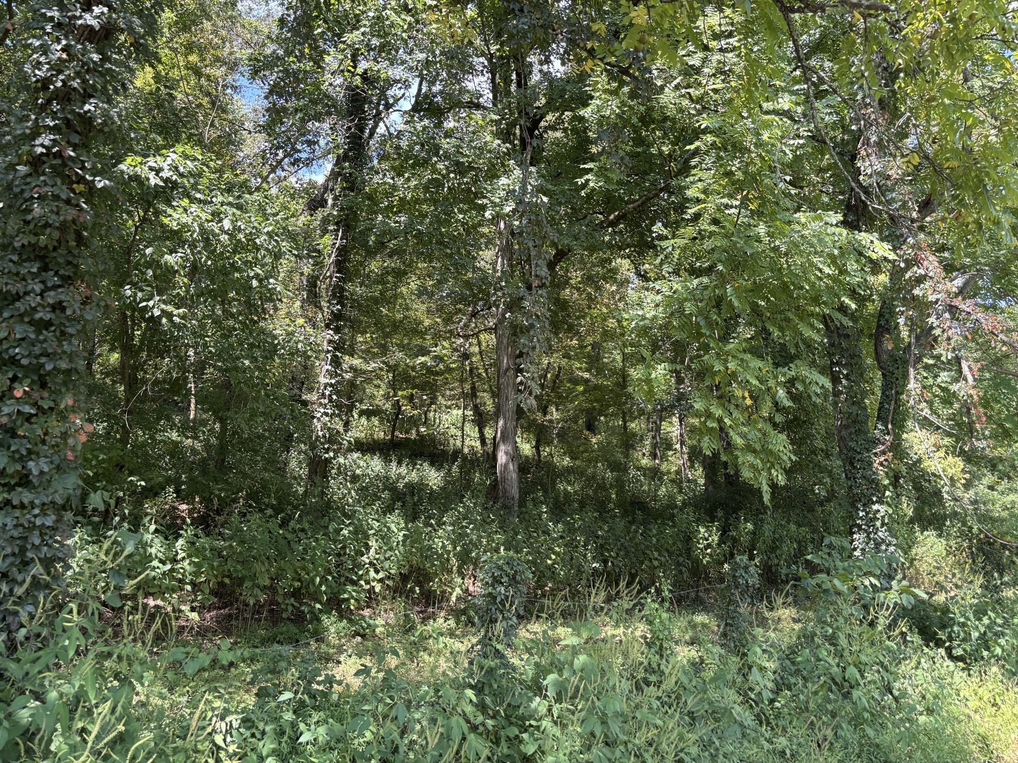 0 Cathcart Rd Property Photo 10