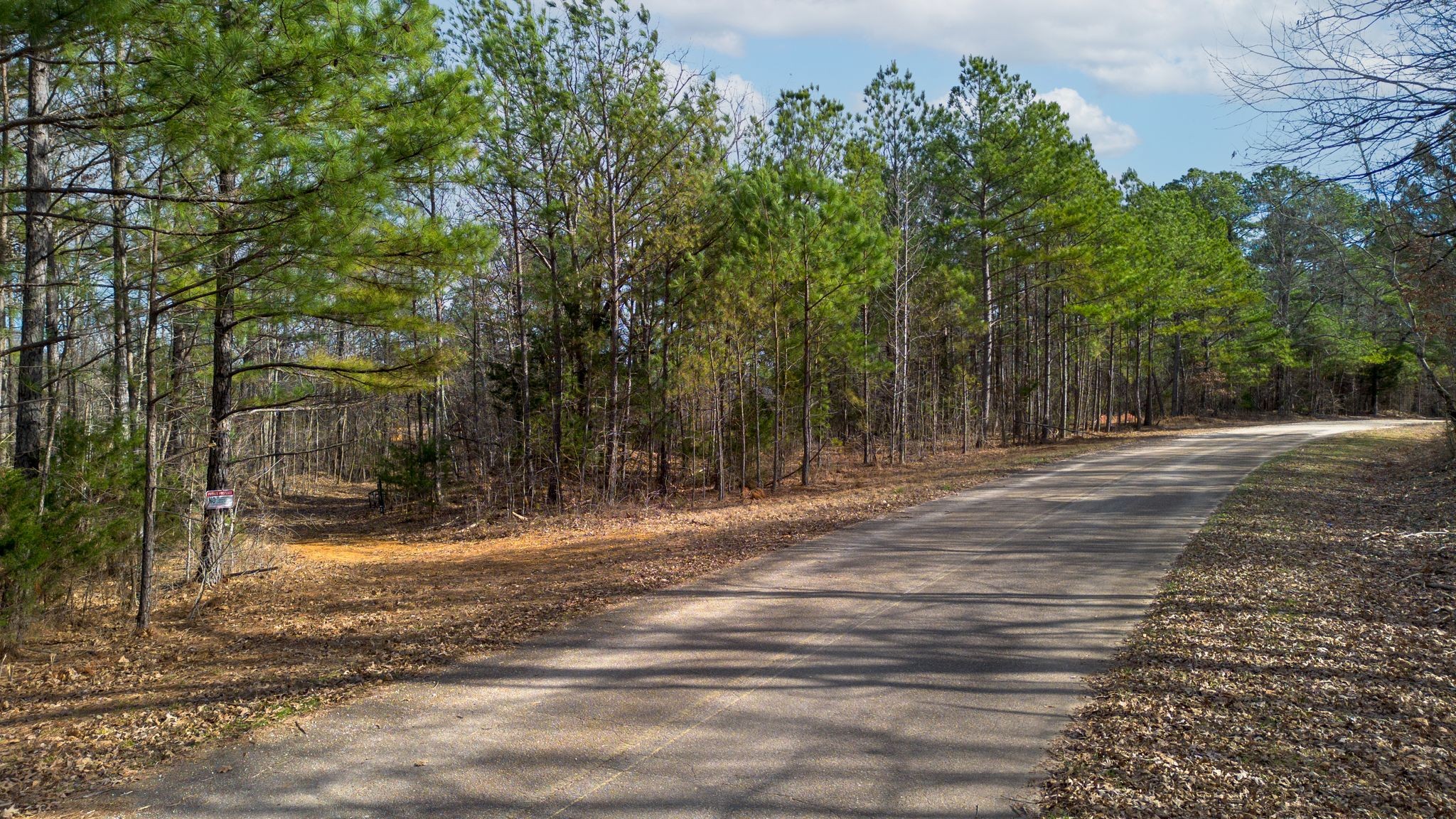 1 Olde Tennessee Trail Property Photo 1