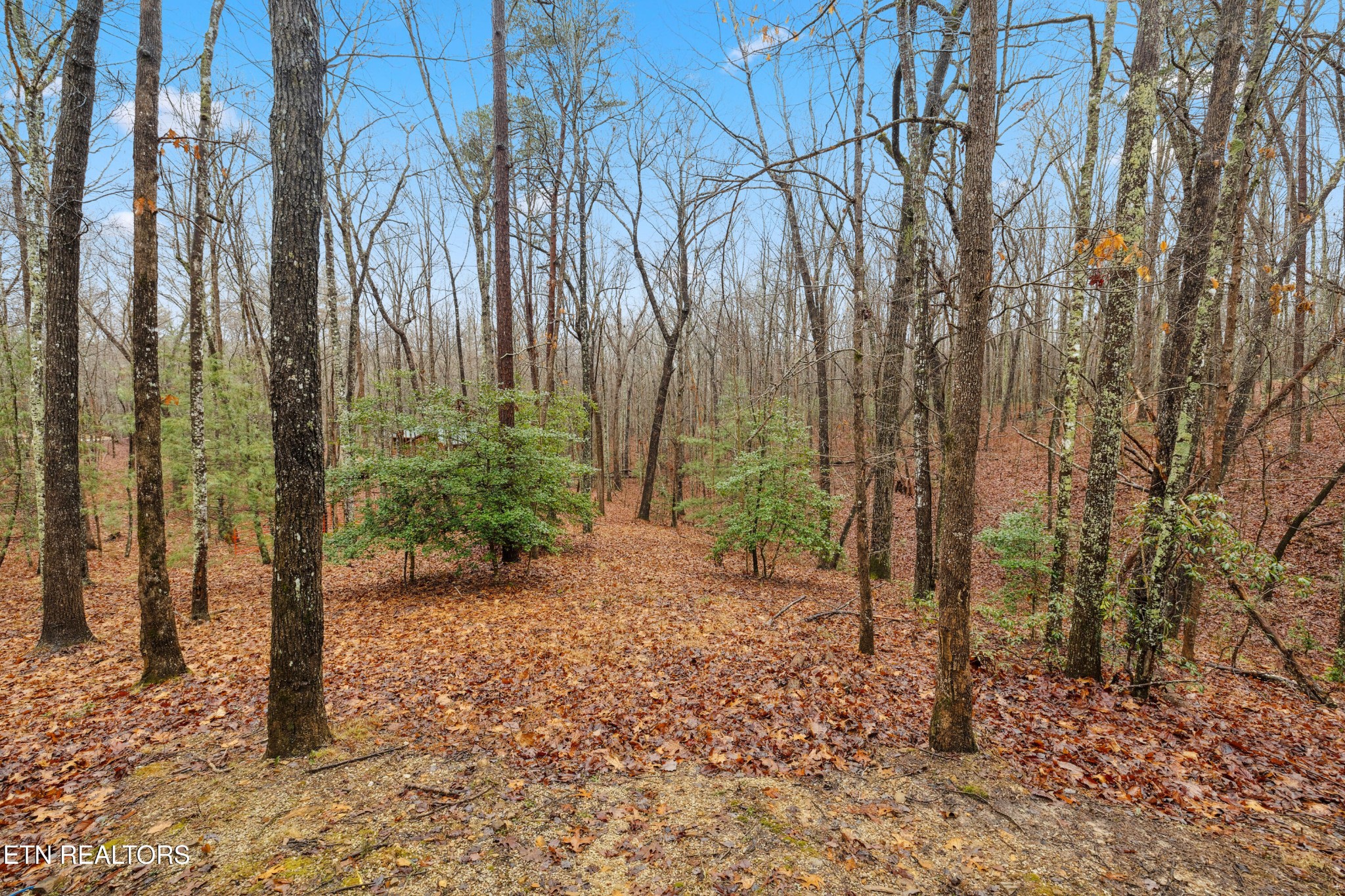 930 Wilderness Tr Property Photo 26
