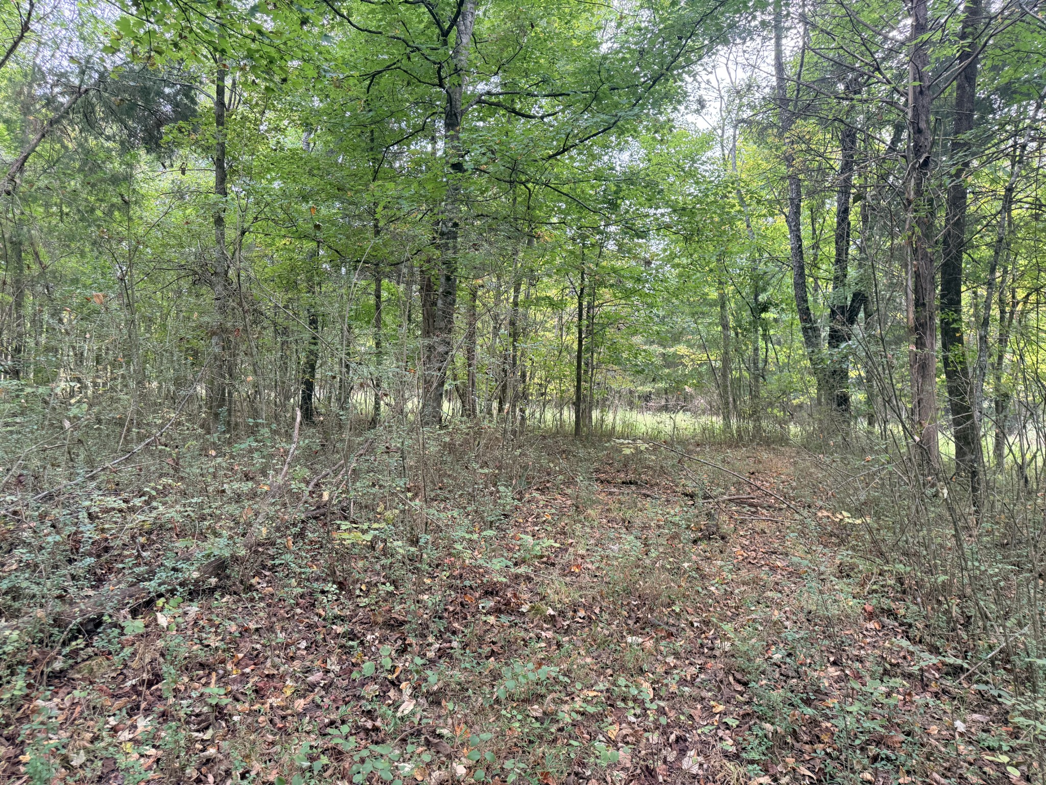0 Scott Branch Rd Property Photo 1