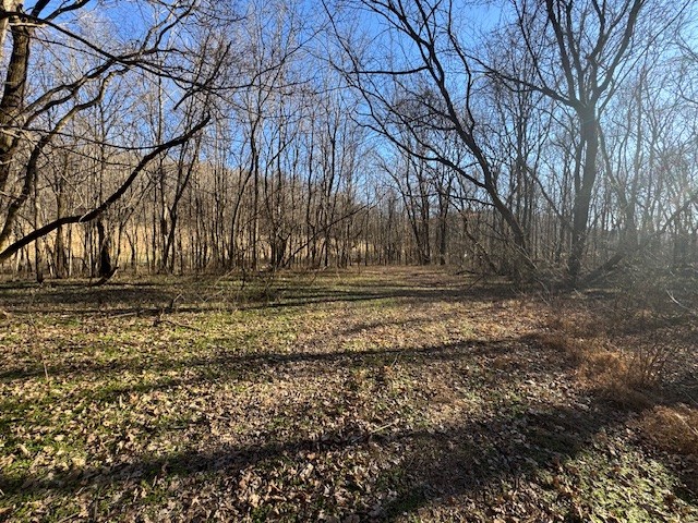 0 Jacobs Rd Property Photo 7