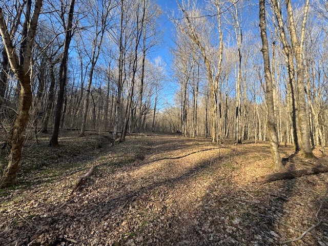 0 Jacobs Rd Property Photo 13