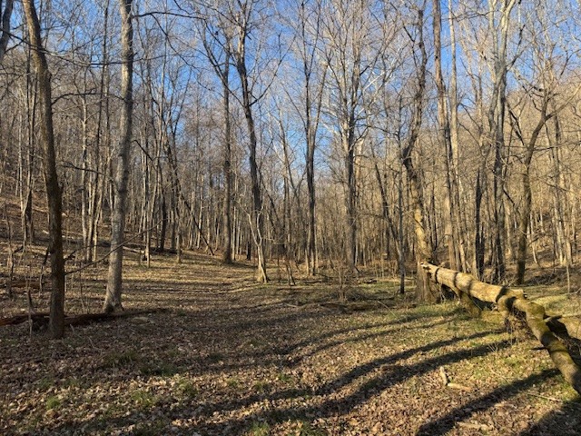 0 Jacobs Rd Property Photo 16