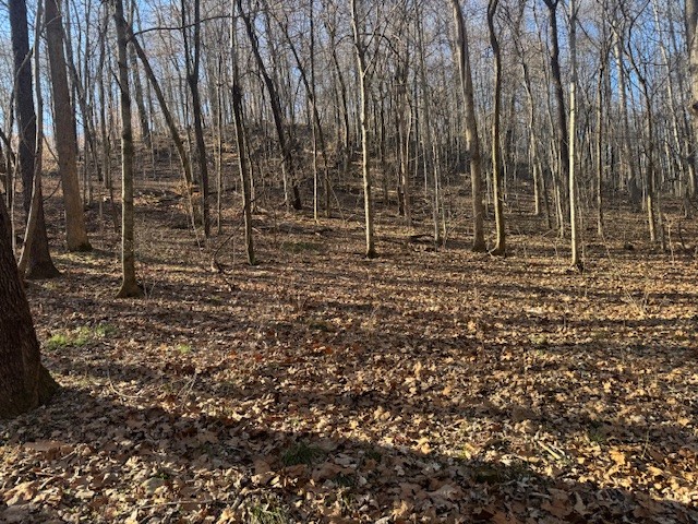 0 Jacobs Rd Property Photo 19