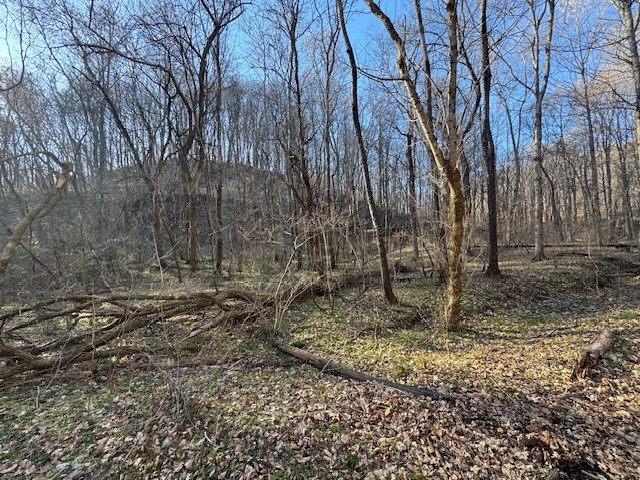 0 Jacobs Rd Property Photo 27