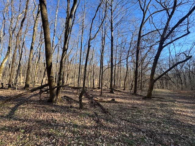 0 Jacobs Rd Property Photo 28