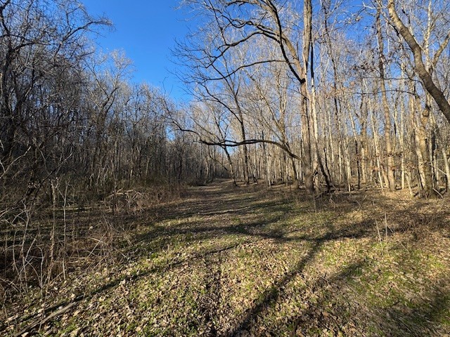 0 Jacobs Rd Property Photo 30