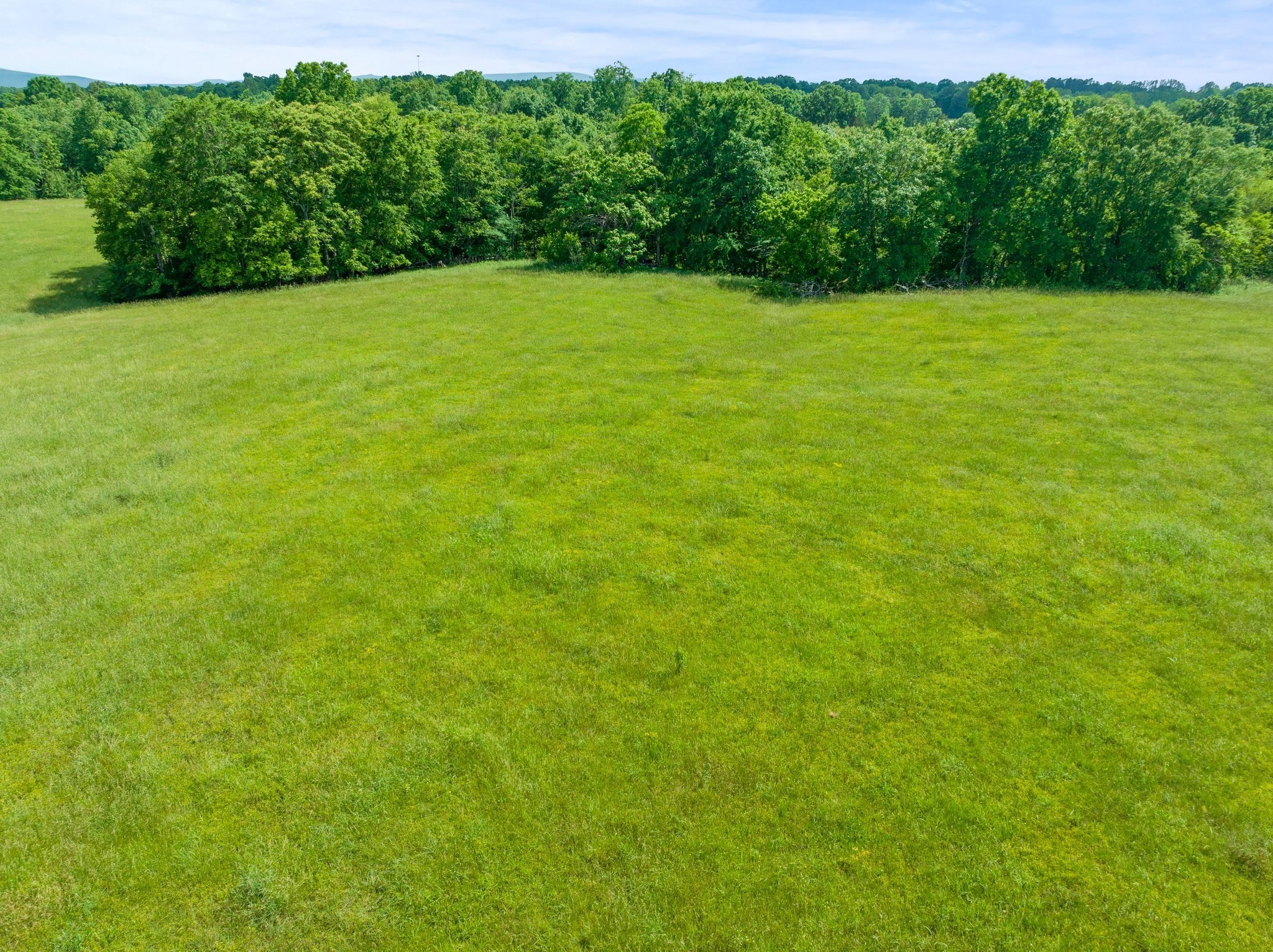 0 Cox Ln Property Photo 8