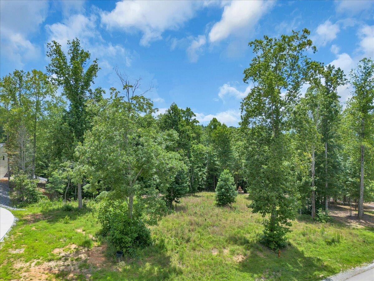 0 Moonlight Lane Property Photo 3
