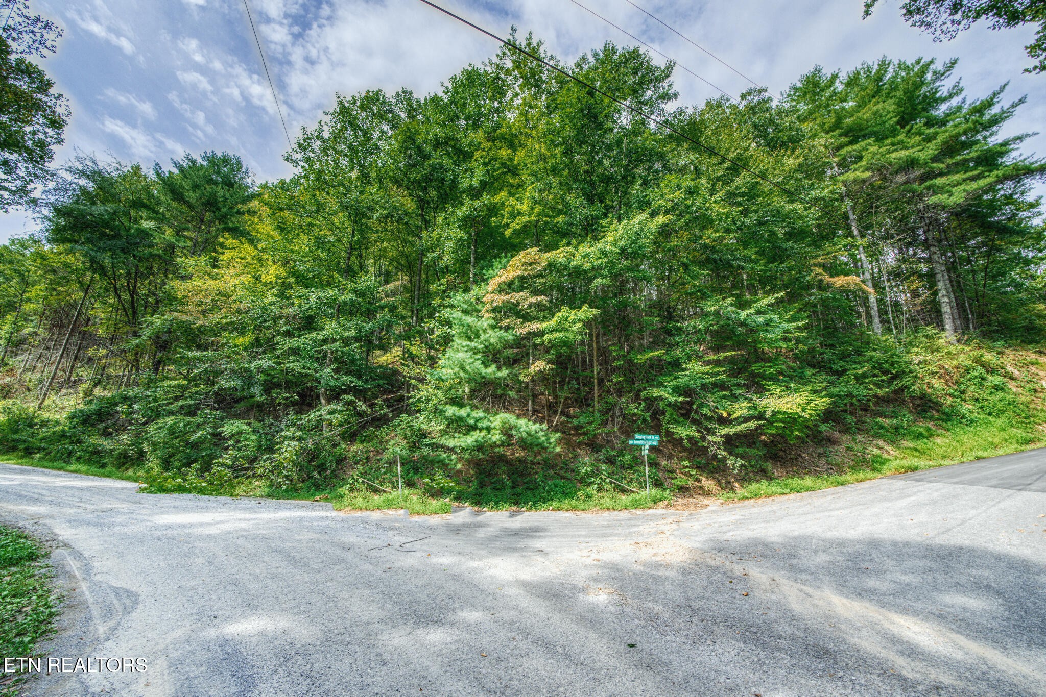 0 Stepping Stone Drive Property Photo 1