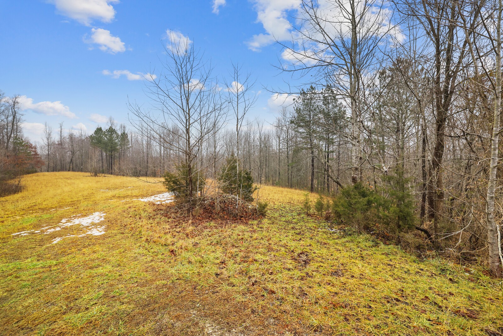 0 Holly Bend Dr Property Photo 13