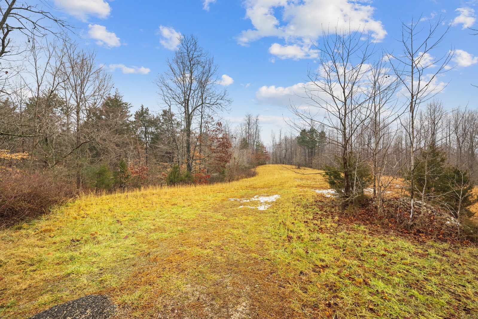 0 Holly Bend Dr Property Photo 14