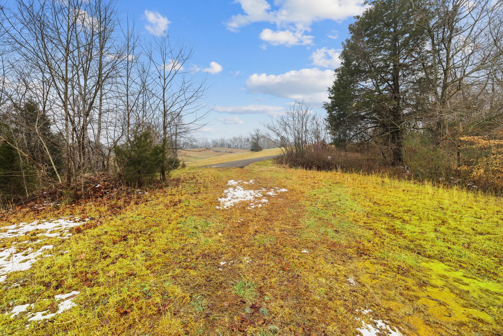 0 Holly Bend Dr Property Photo 18