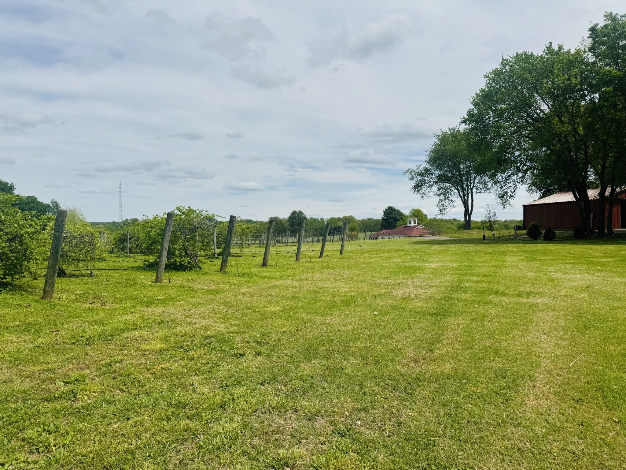 2982 Harvey Bowden Rd Property Photo 44