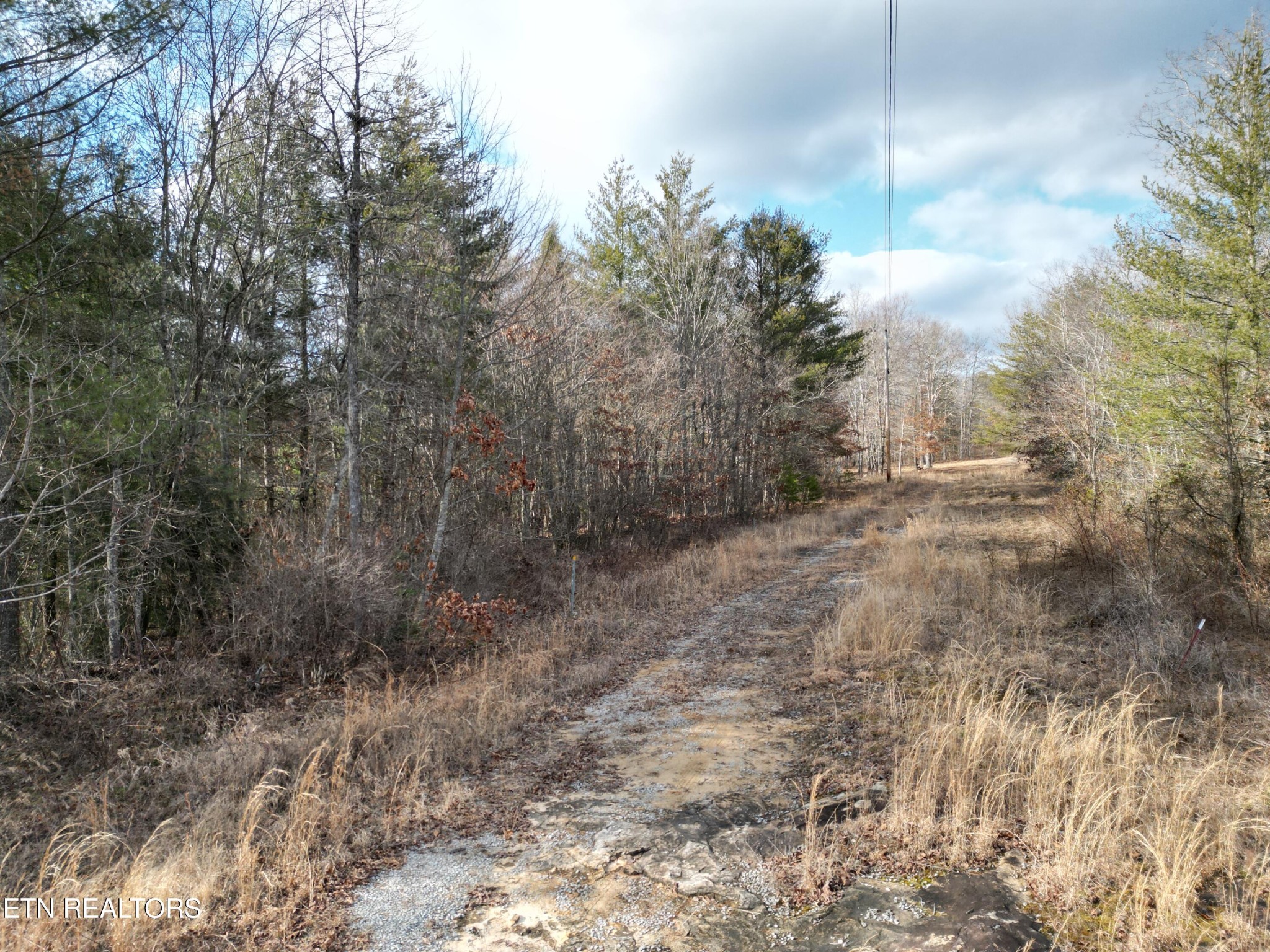 566 William Branch Rd Property Photo 3