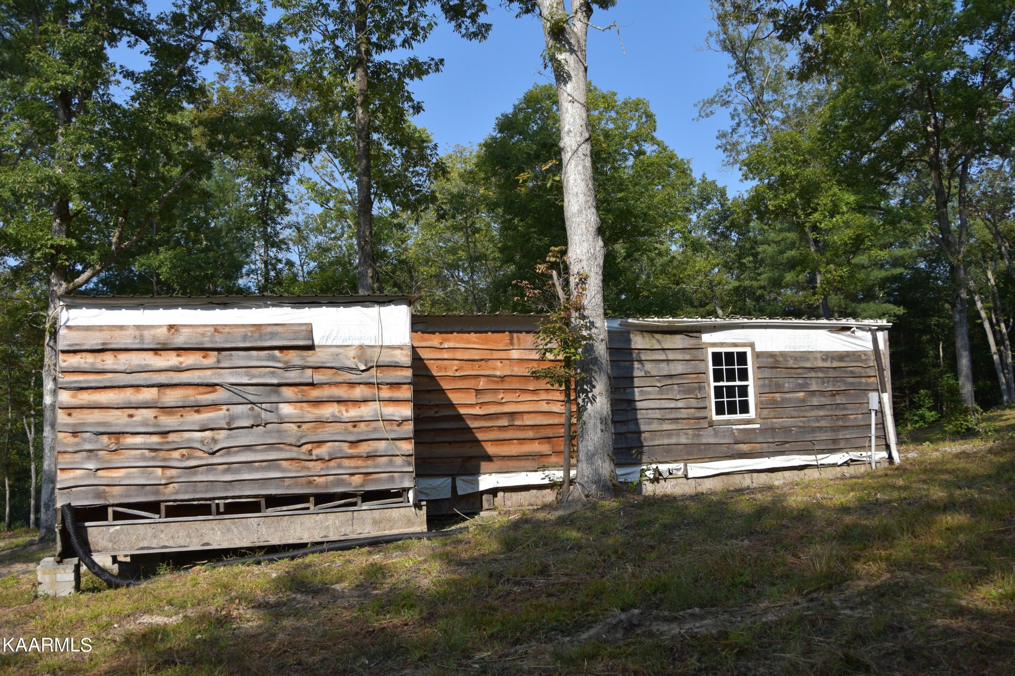 566 William Branch Rd Property Photo 13