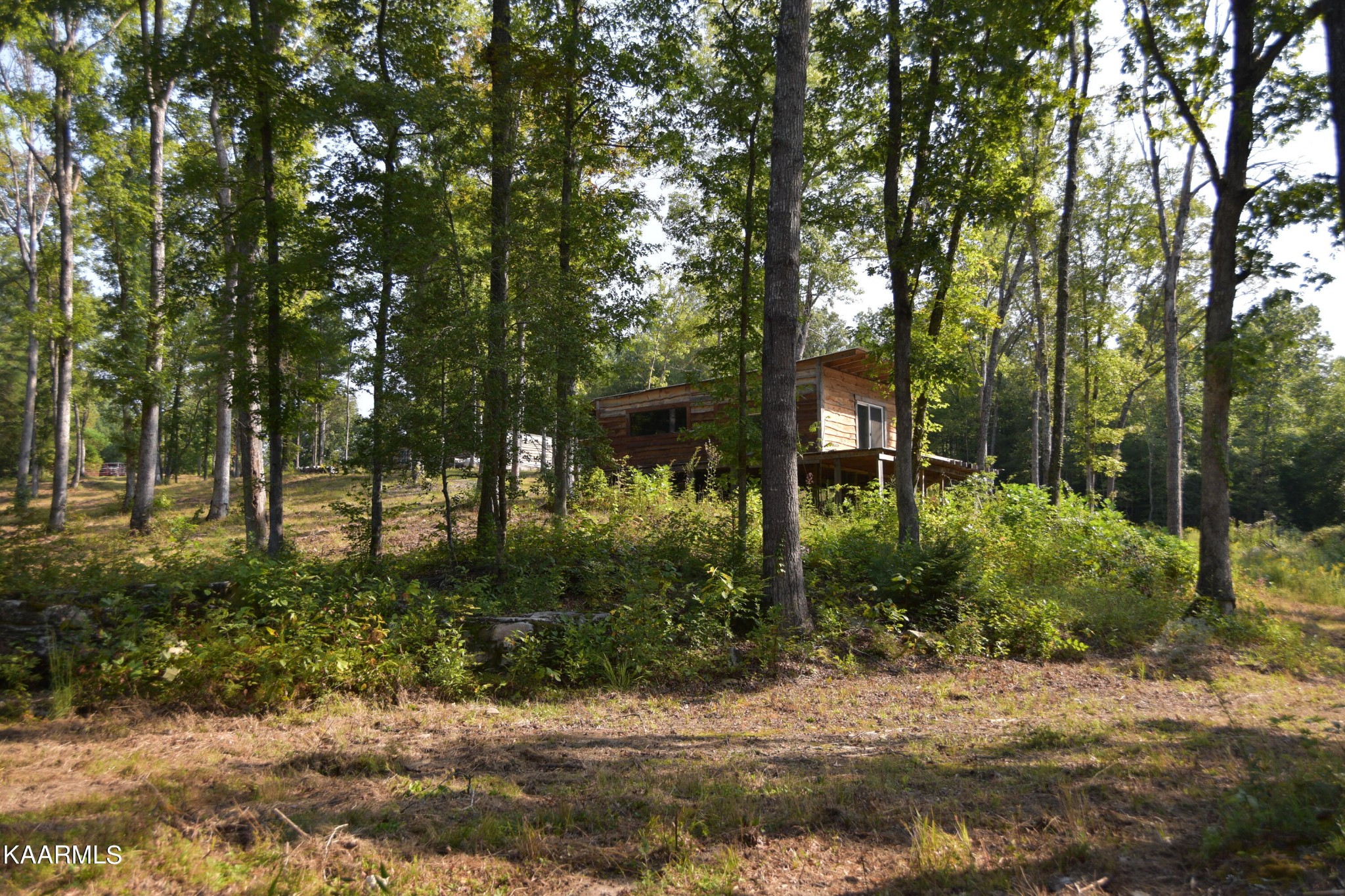 566 William Branch Rd Property Photo 15