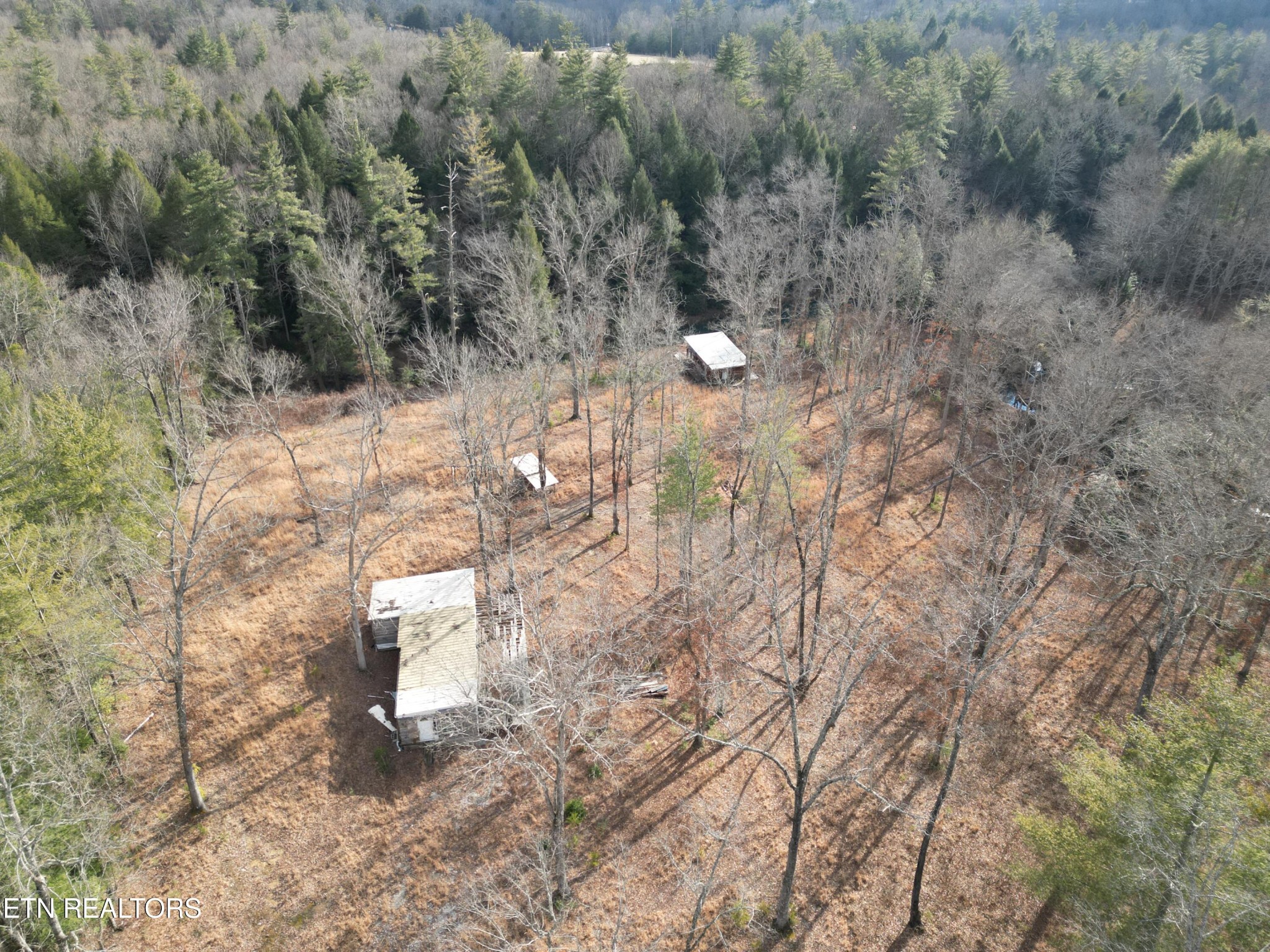 566 William Branch Rd Property Photo 20
