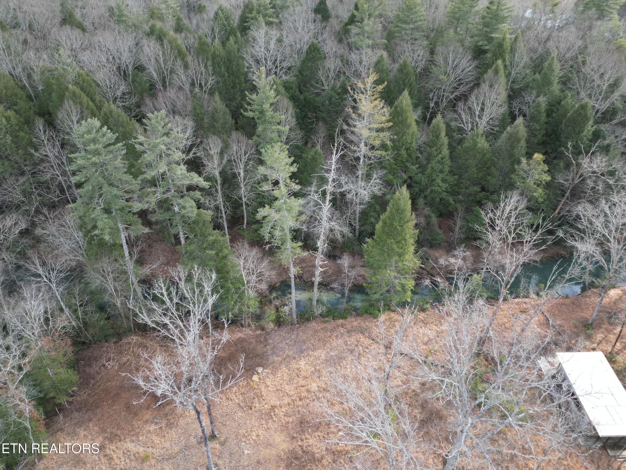 566 William Branch Rd Property Photo 22