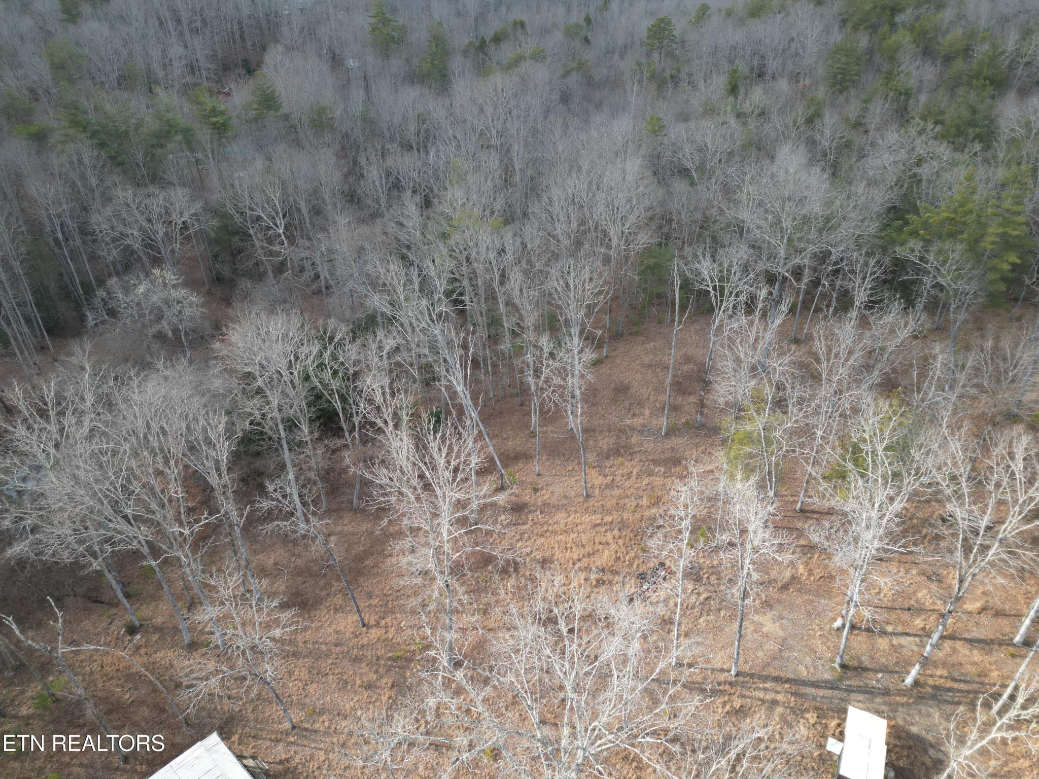 566 William Branch Rd Property Photo 25