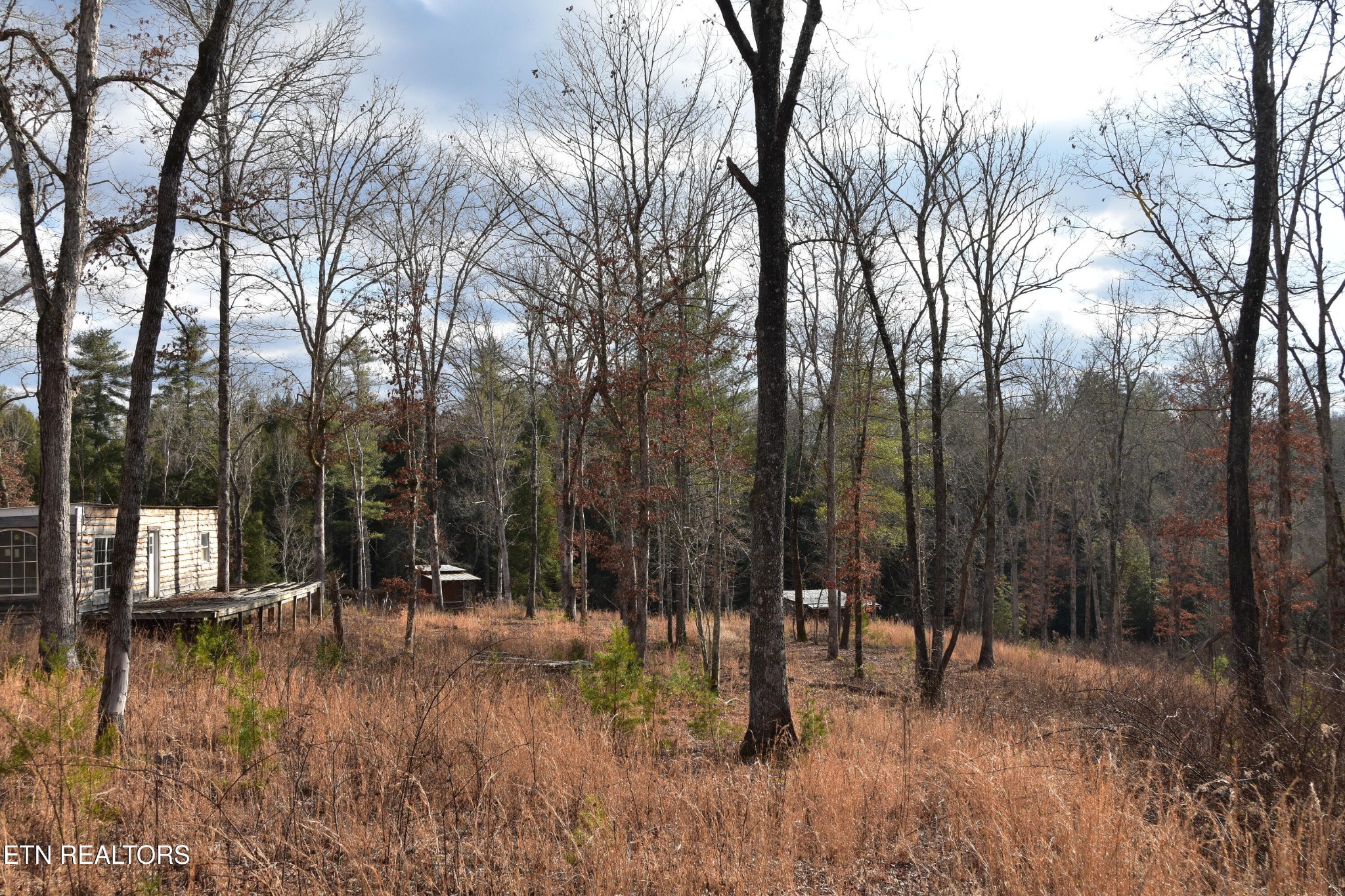 566 William Branch Rd Property Photo 29