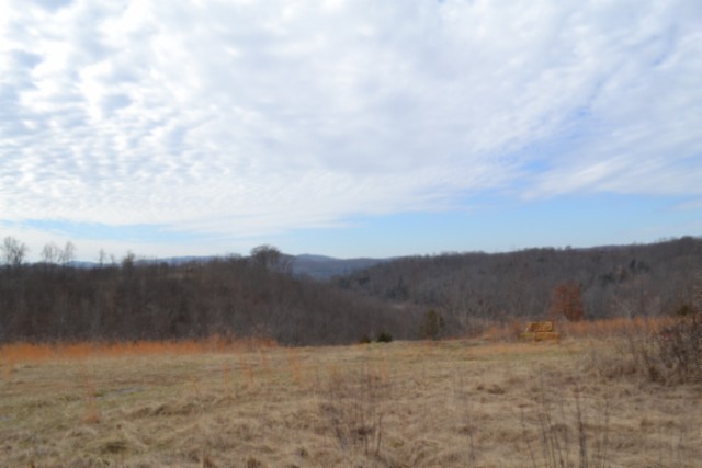 127 Rushing Springs Rd Property Photo 1