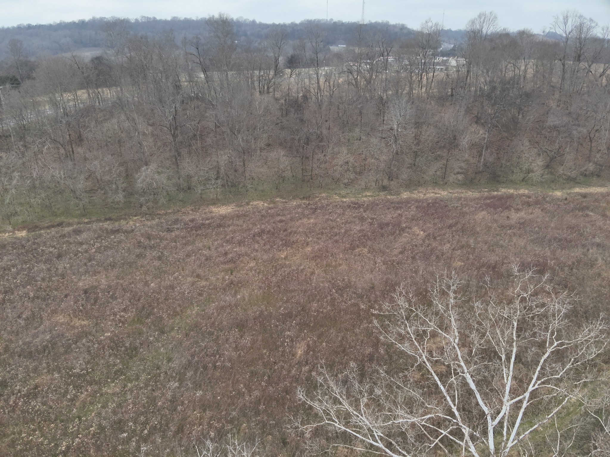 0 Hwy 64 E Property Photo 15