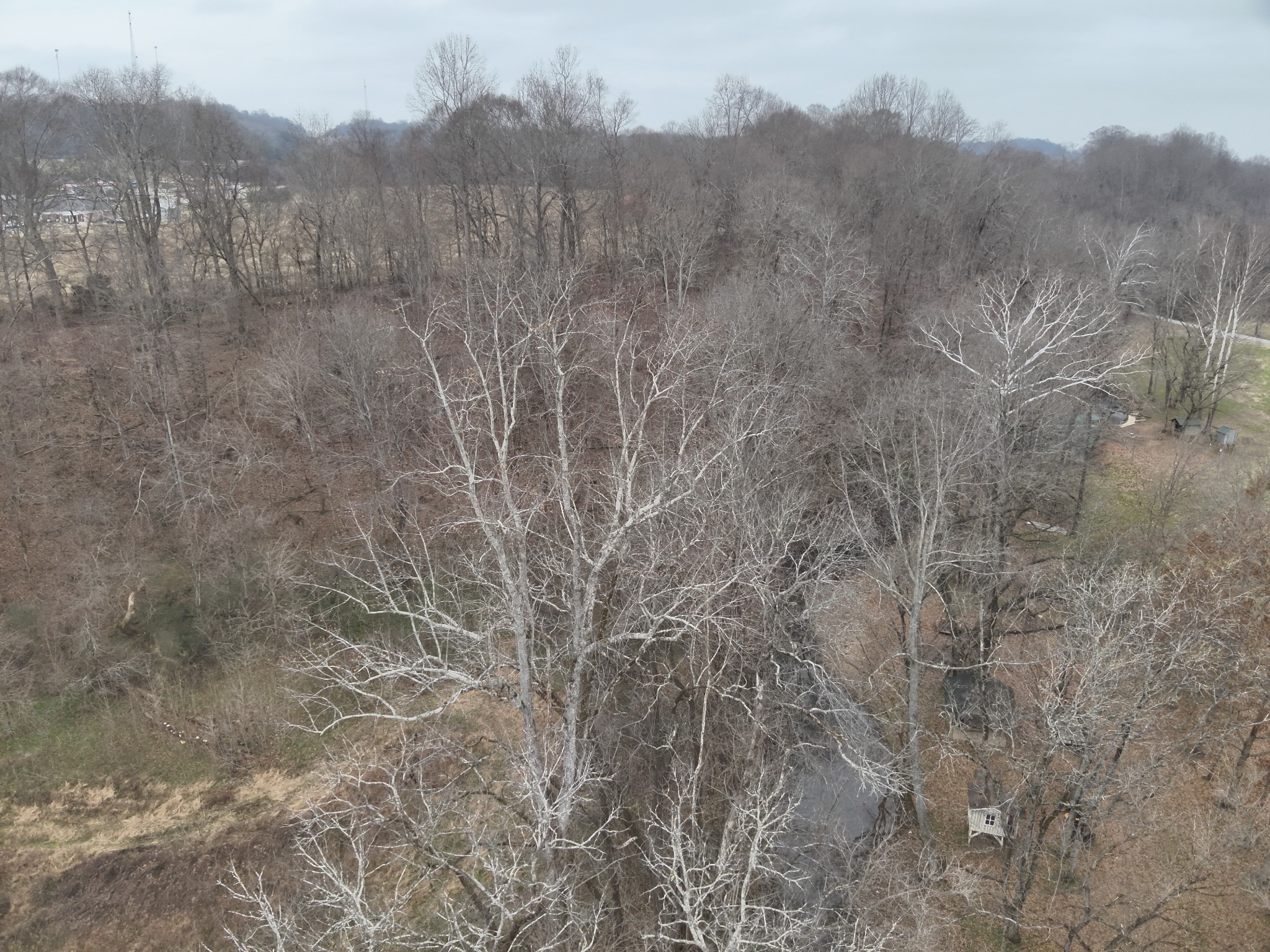 0 Hwy 64 E Property Photo 17