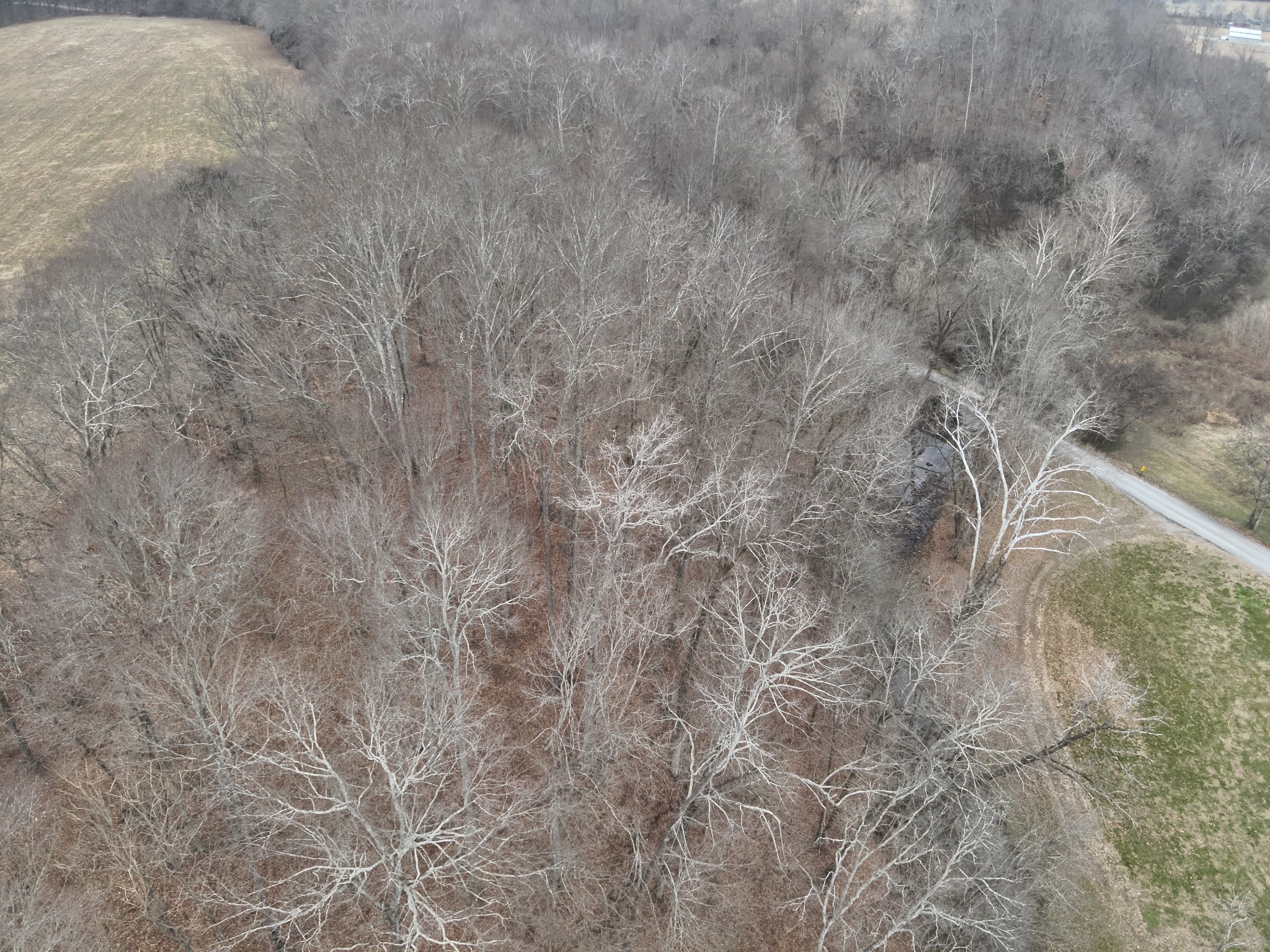 0 Hwy 64 E Property Photo 7