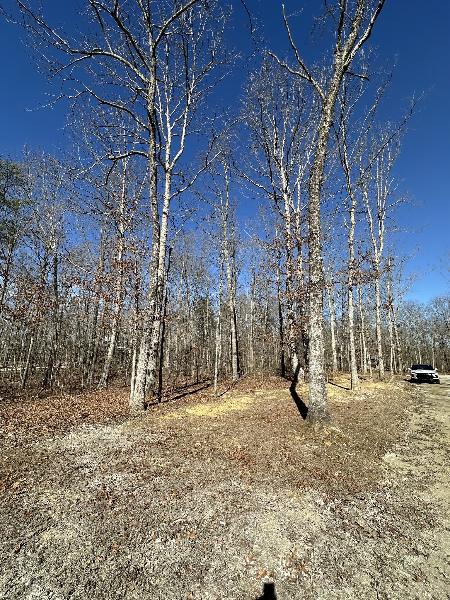 222 Sunset Bluff Way Property Photo 5