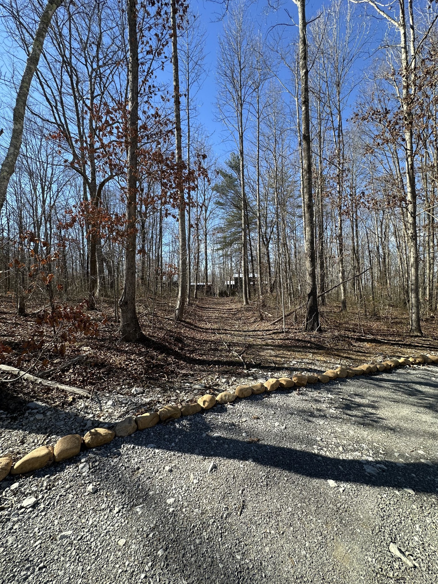 222 Sunset Bluff Way Property Photo 6