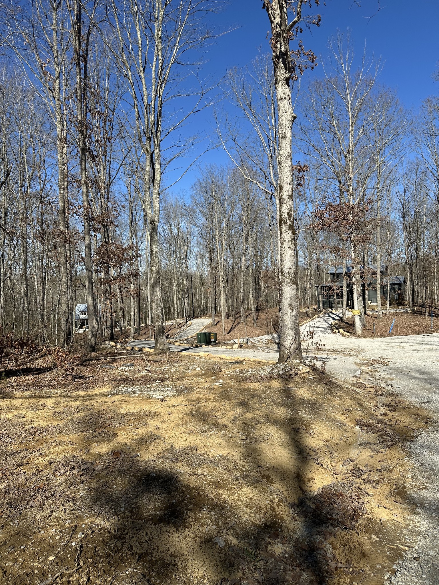 222 Sunset Bluff Way Property Photo 8