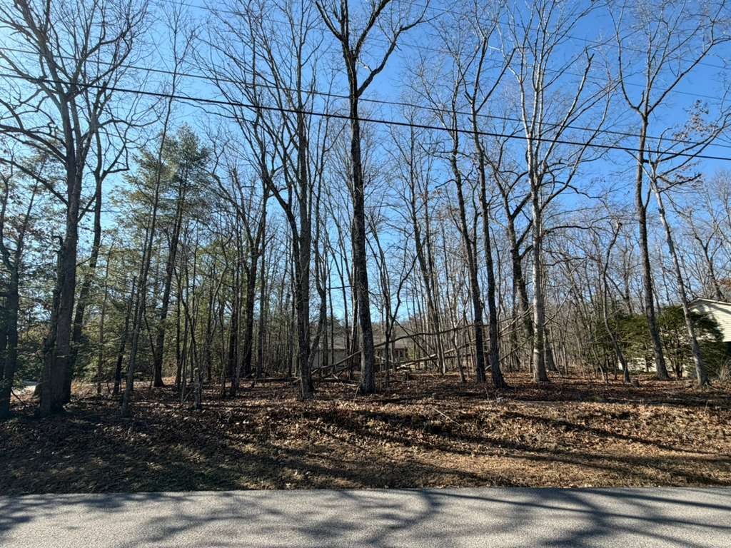 153 Sugarbush Cir Property Photo 2