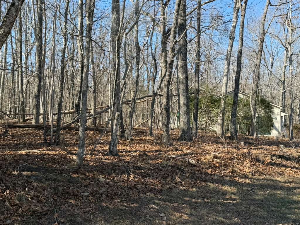 153 Sugarbush Cir Property Photo 3