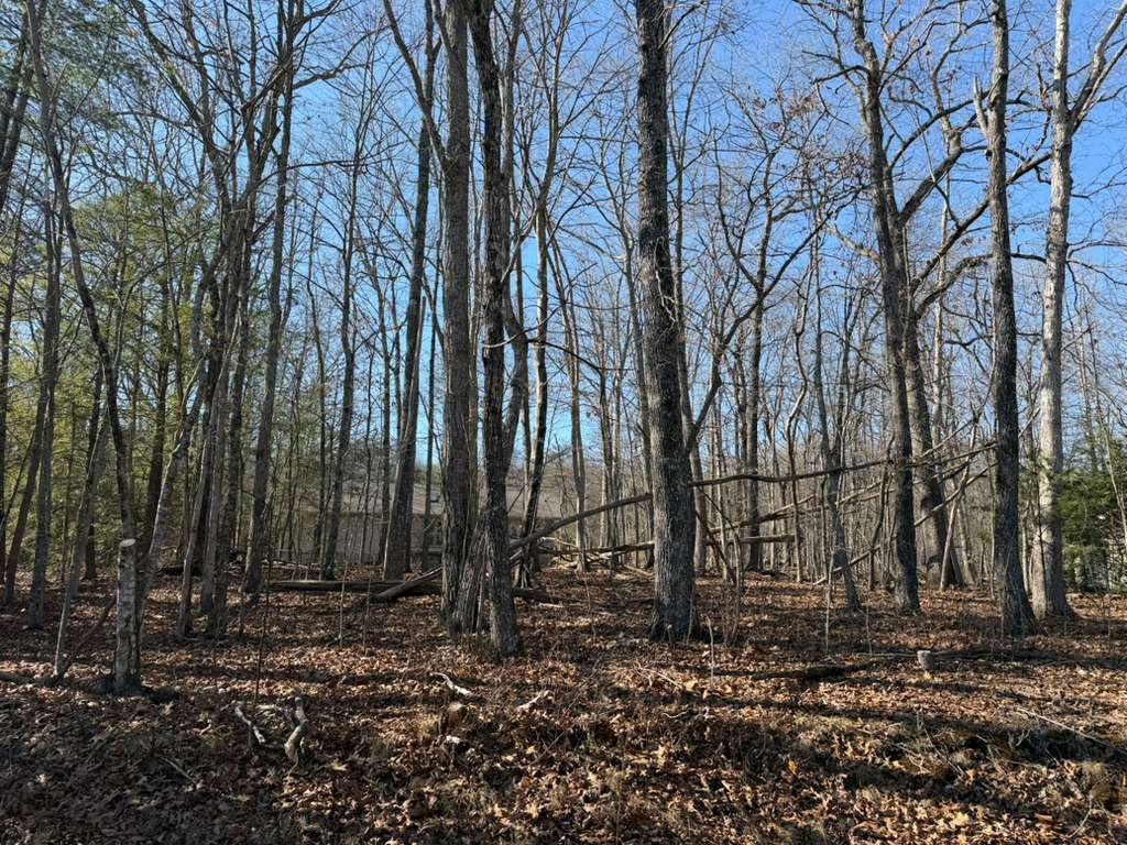 153 Sugarbush Cir Property Photo 4