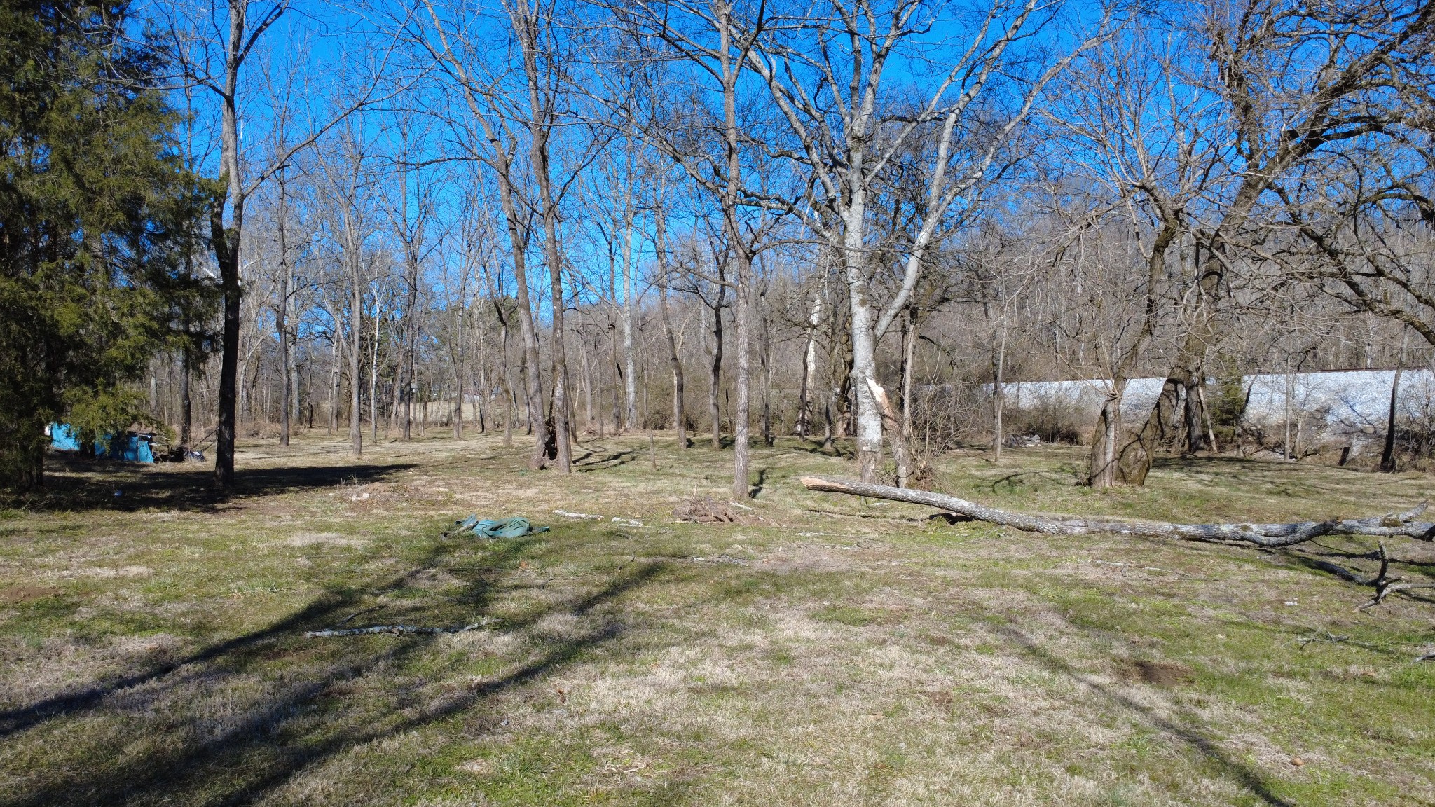 0 Carters Creek Pike Property Photo 2