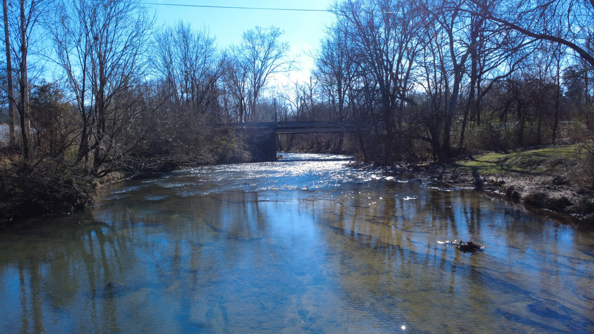 0 Carters Creek Pike Property Photo 3