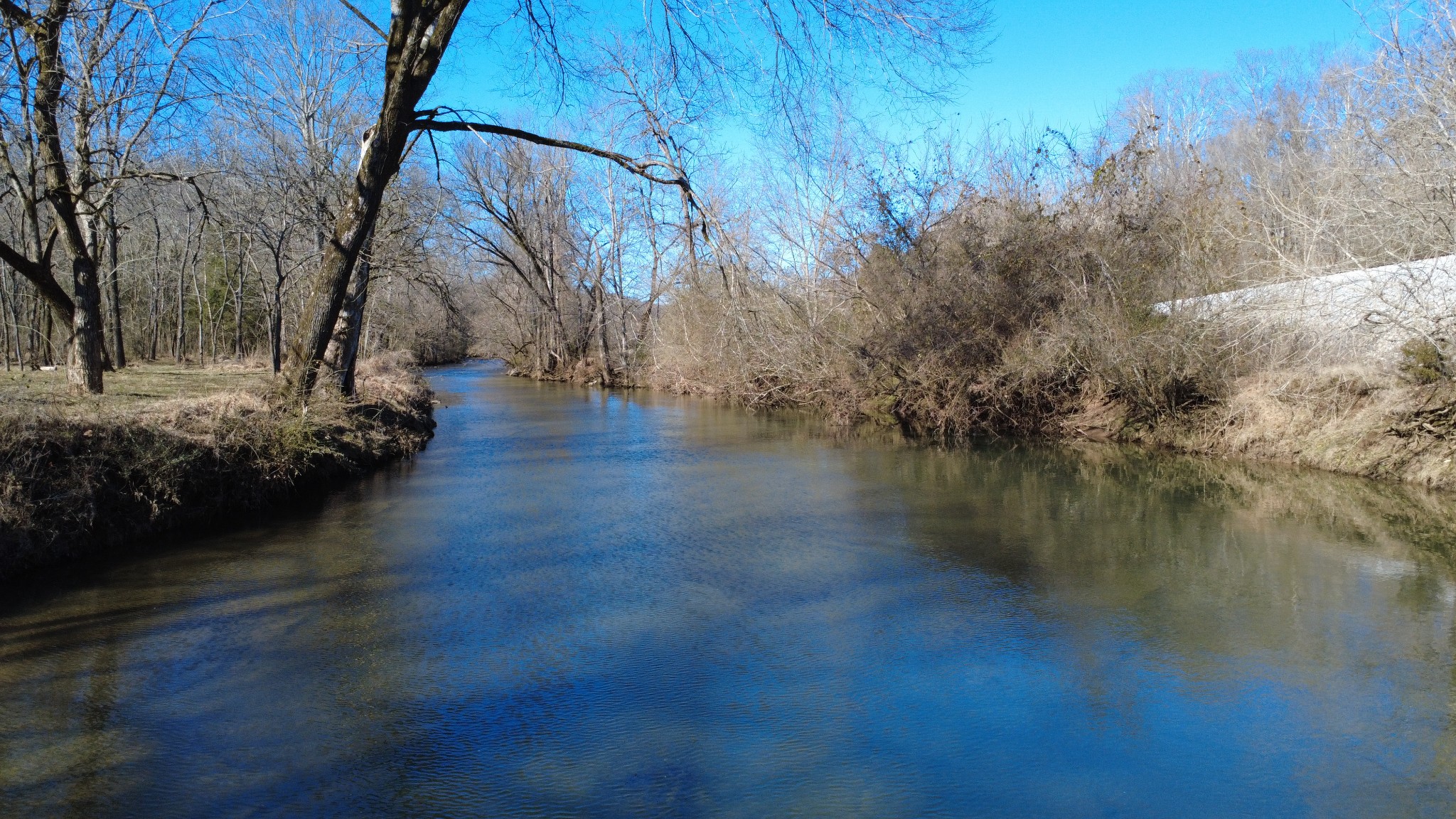 0 Carters Creek Pike Property Photo 4