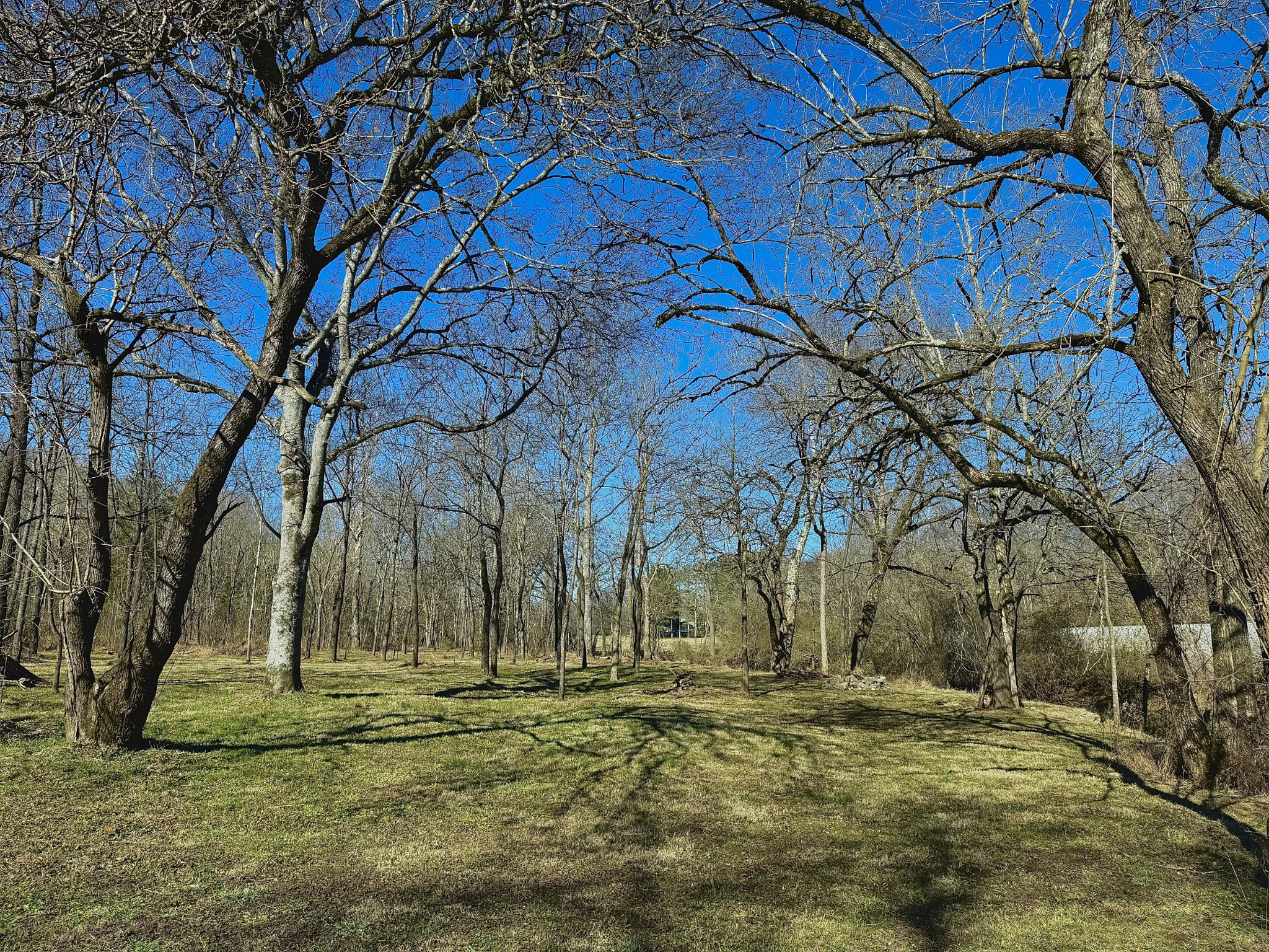 0 Carters Creek Pike Property Photo 6