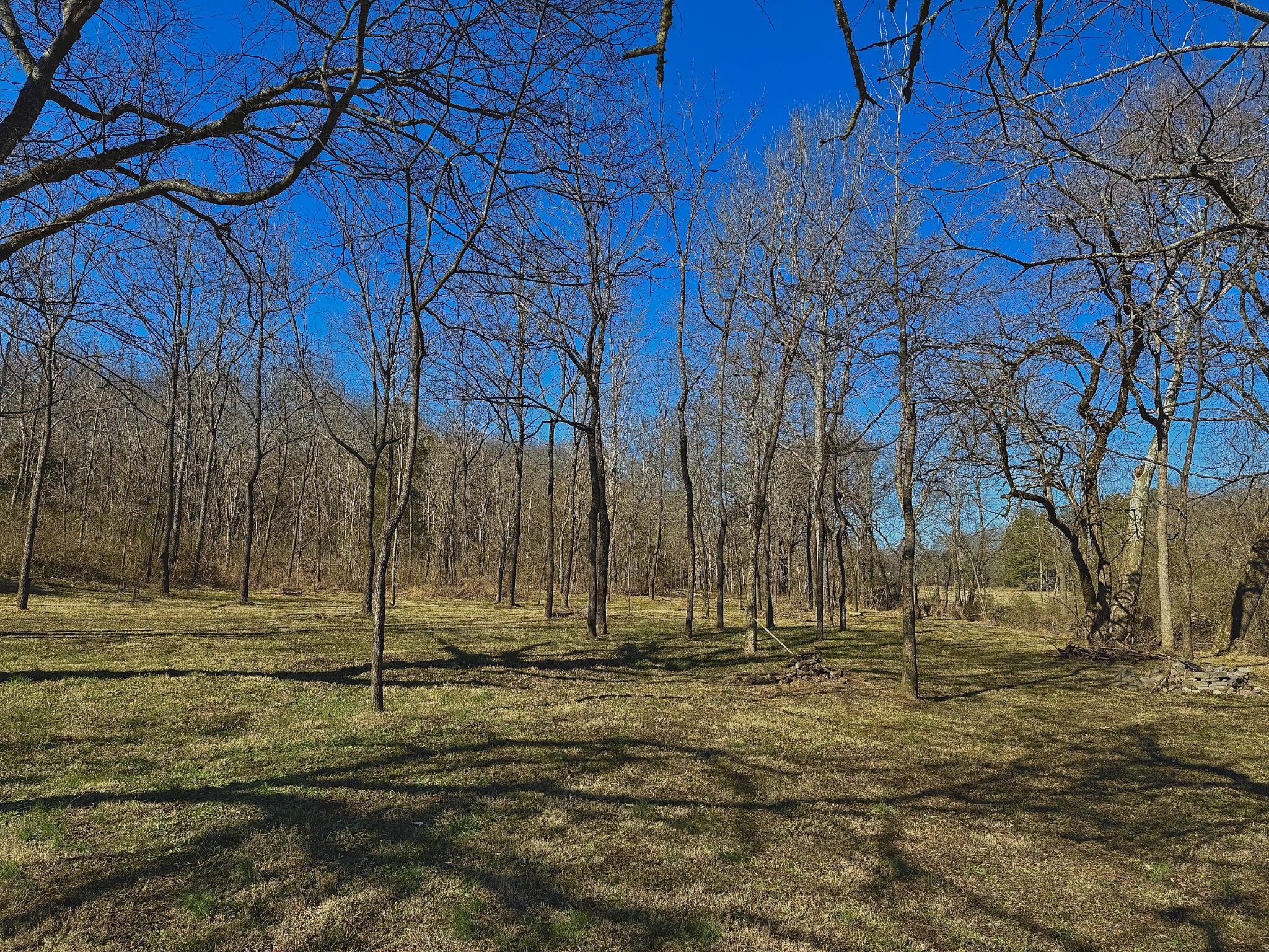 0 Carters Creek Pike Property Photo 7