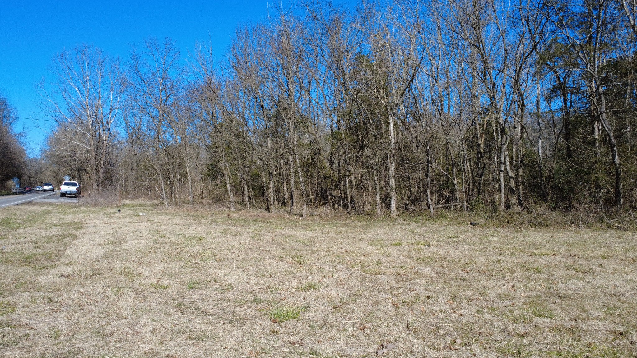 0 Carters Creek Pike Property Photo 11