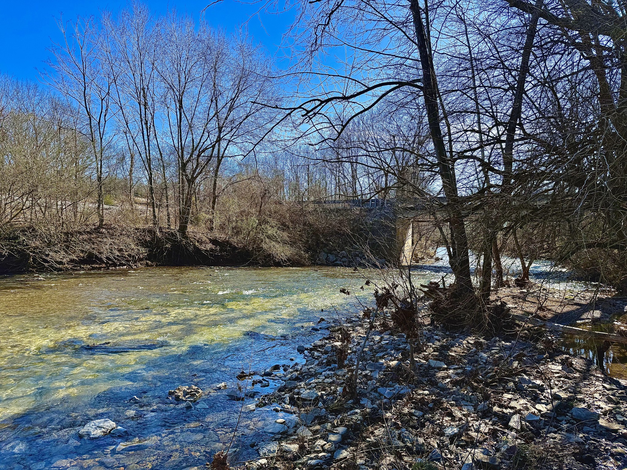 0 Carters Creek Pike Property Photo 16
