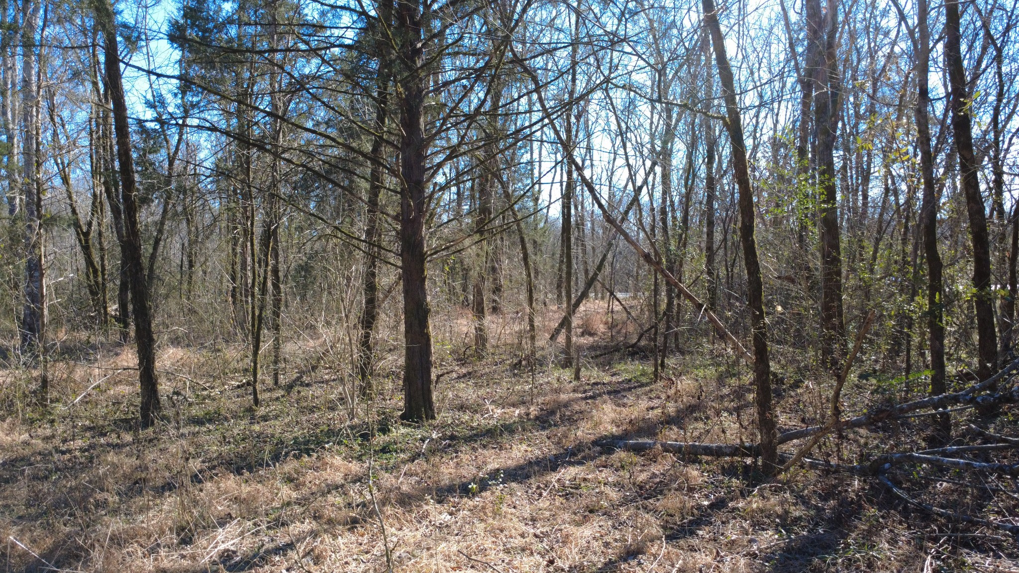 0 Carters Creek Pike Property Photo 18