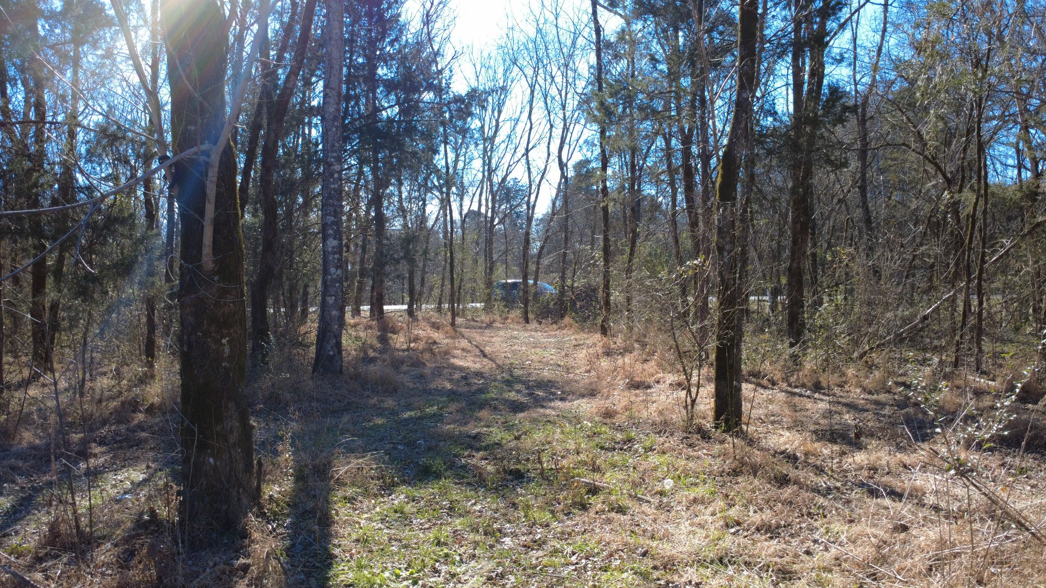 0 Carters Creek Pike Property Photo 19